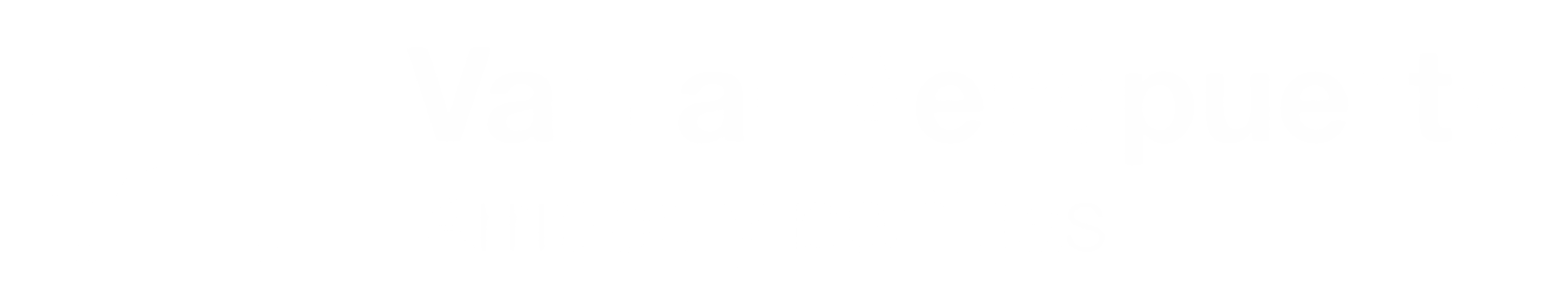 Van Al Aeropuerto